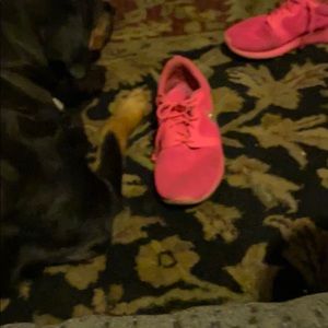 Meet your Posher, Peter